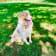 Seller Profile Photo