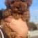 Seller Profile Photo
