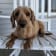 Seller Profile Photo