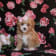 Seller Profile Photo