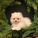 Seller Profile Photo