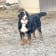 Seller Profile Photo