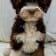 Seller Profile Photo
