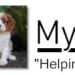 Seller Profile Photo