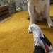Seller Profile Photo