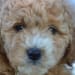 Seller Profile Photo
