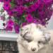 Seller Profile Photo