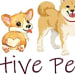 Pawsitive Pets