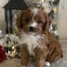 Seller Profile Photo