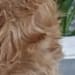 Martha Barkman's profile photo
