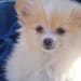 Katie Whetstone's profile photo