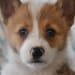 Seller Profile Photo