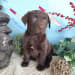 Seller Profile Photo