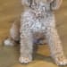 Mary Yoder's profile photo