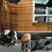 Seller Profile Photo