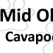 Mid Ohio Cavapoos's profile photo