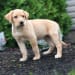 Seller Profile Photo