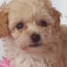 Susan Miller's profile photo