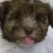 Seller Profile Photo