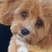 Seller Profile Photo