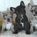 Common Ground Farm's profile photo