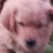 Seller Profile Photo