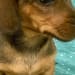 Betsy Keim's profile photo