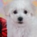 Seller Profile Photo