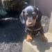 Seller Profile Photo