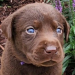 Seller Profile Photo