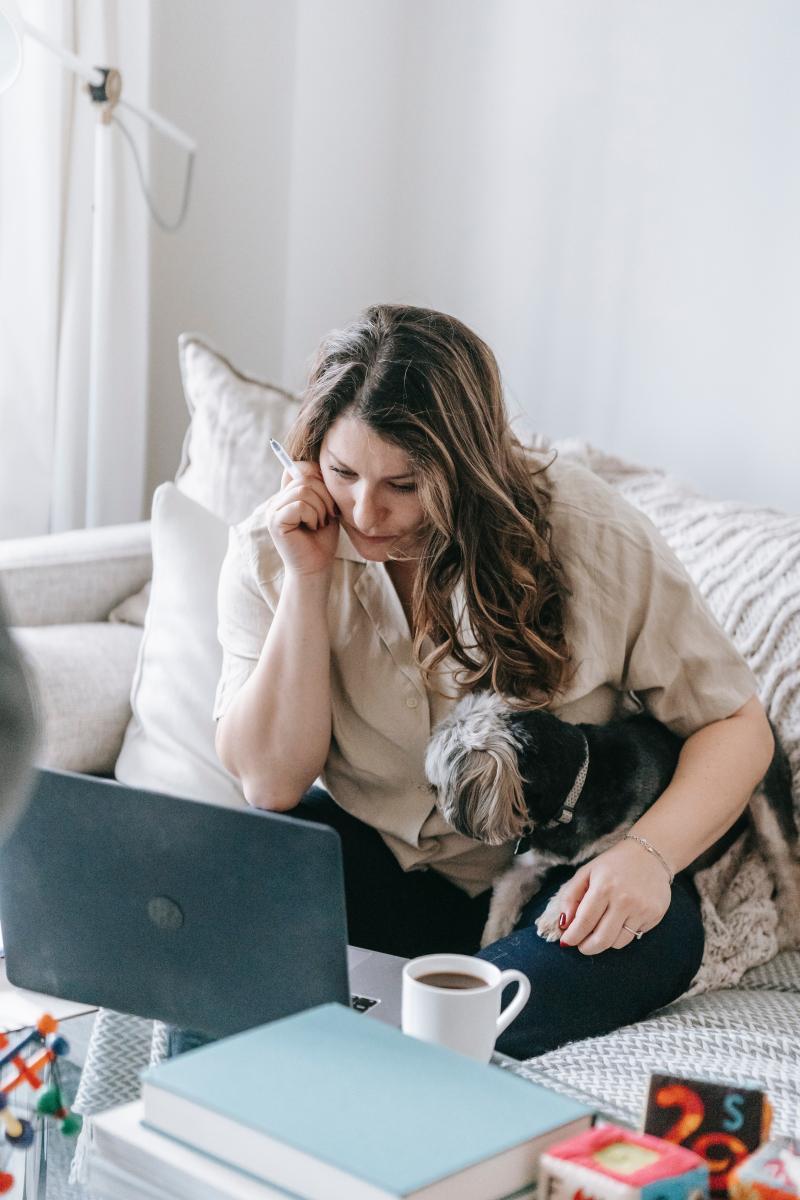 Woman on couch works on laptop while holding small dog.