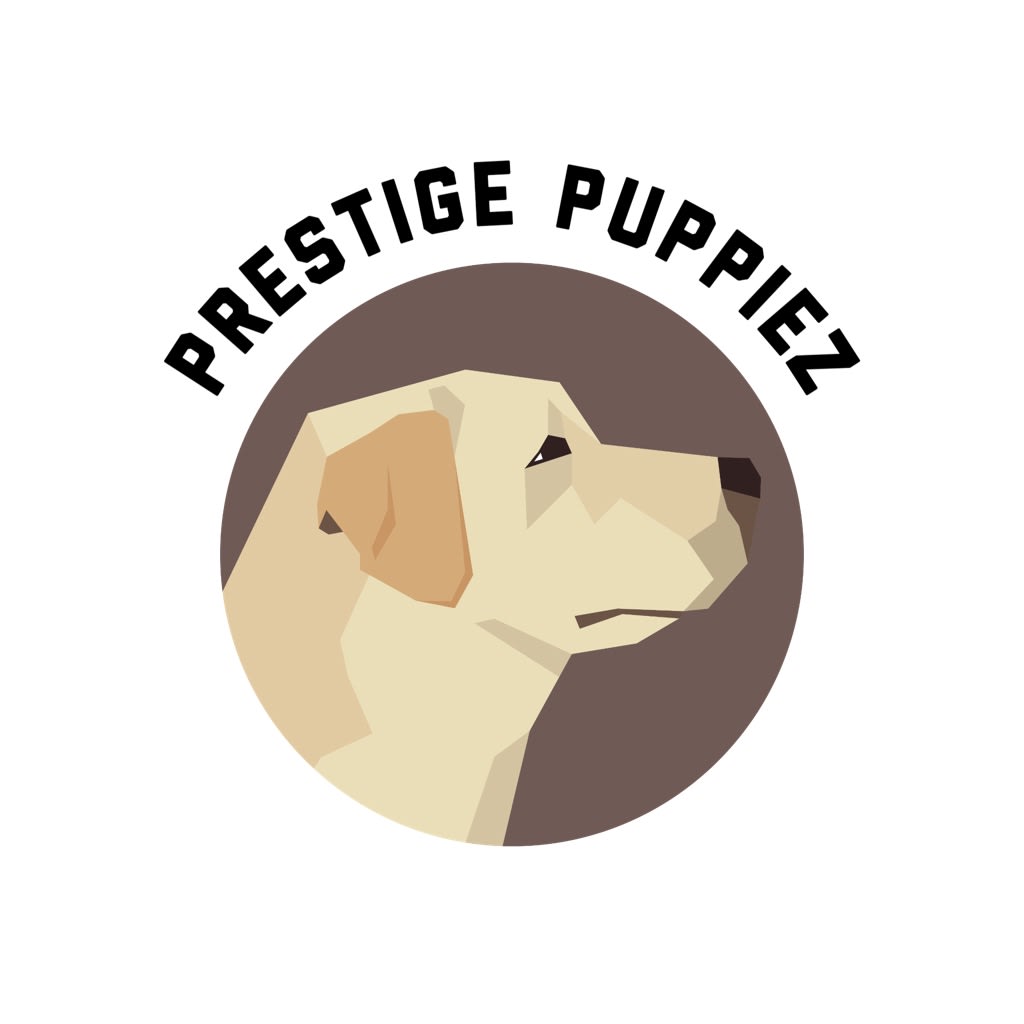 Prestige Puppiez Lancaster Puppies
