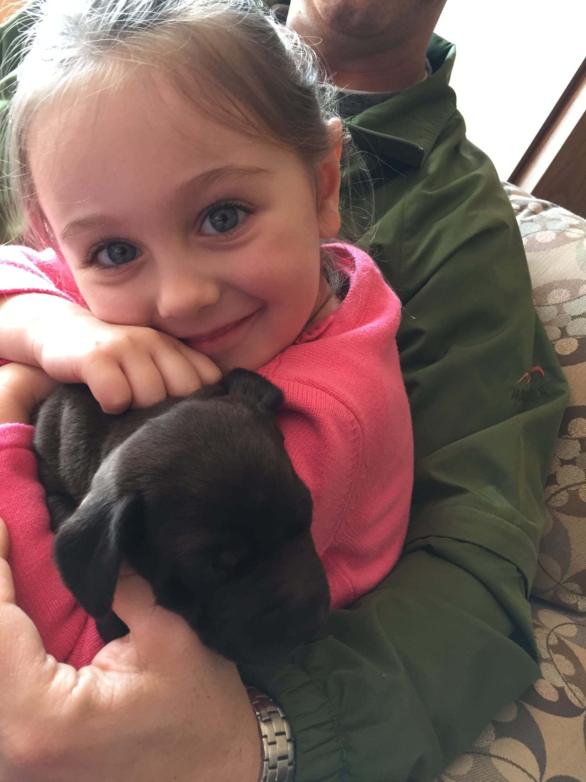 Pine Ridge Kennels Lancaster Puppies