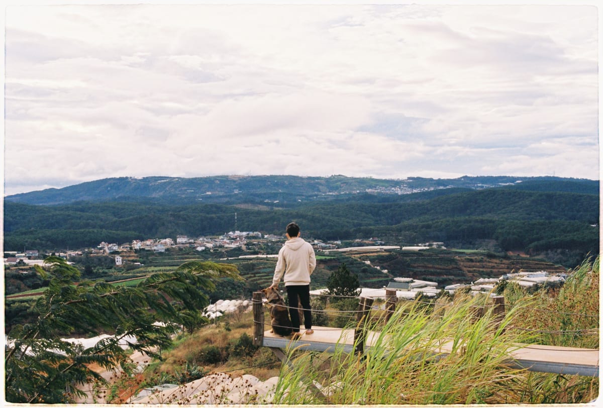 Person standing with dog on a mountain overlook