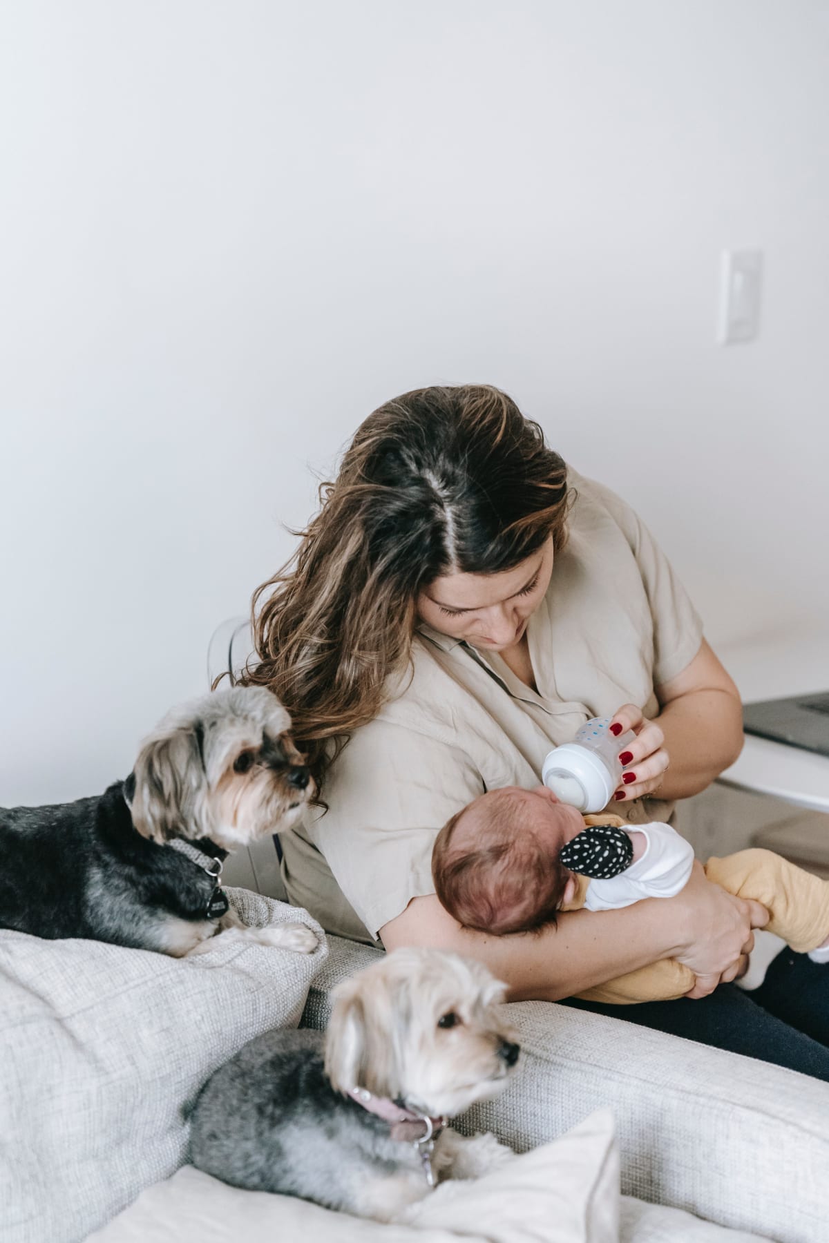 Woman and baby sitting next to 2 small dogs