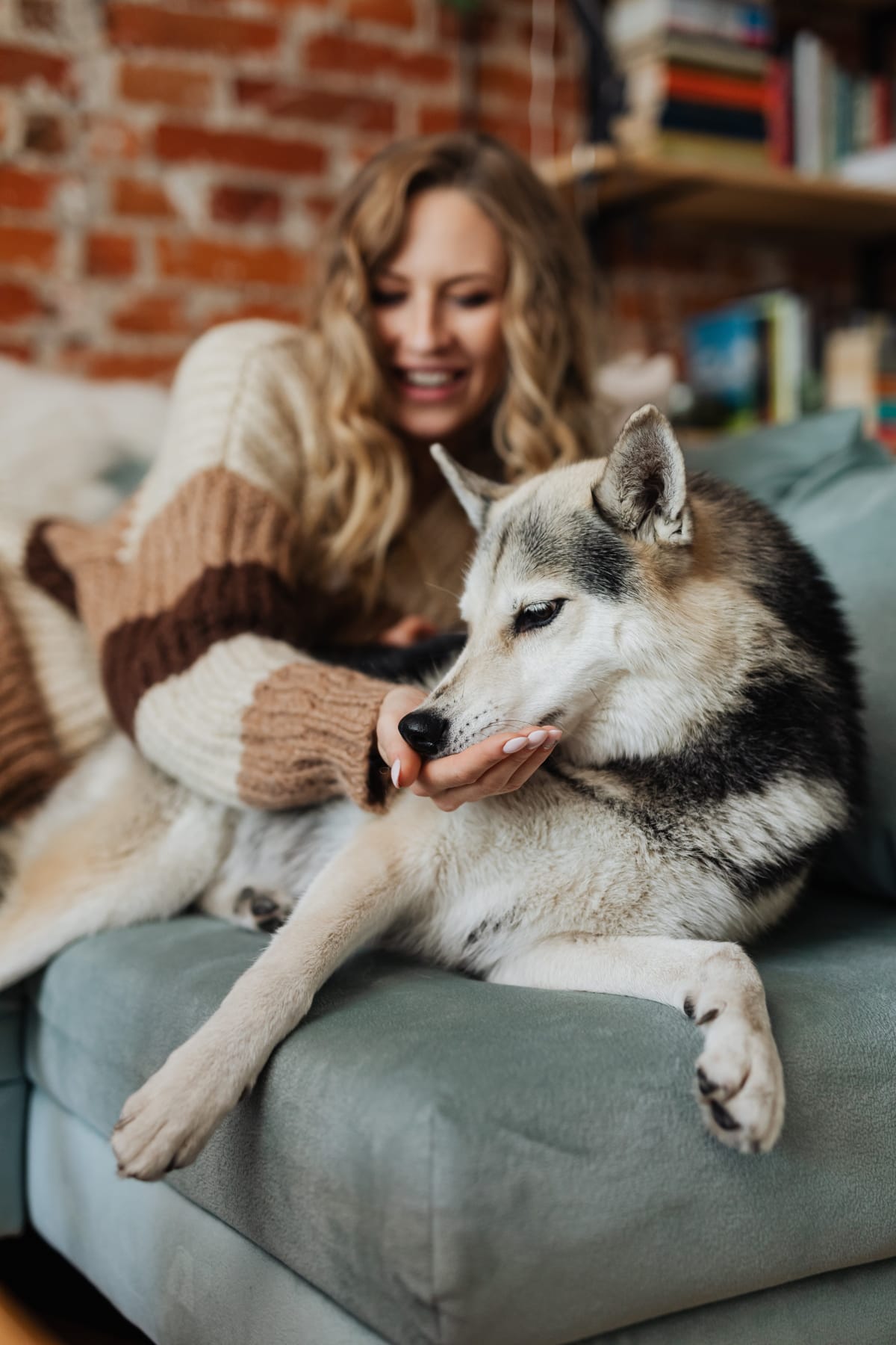 Woman feeding a Siberian Husky from her hand