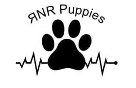 Rnr Puppies, Llc