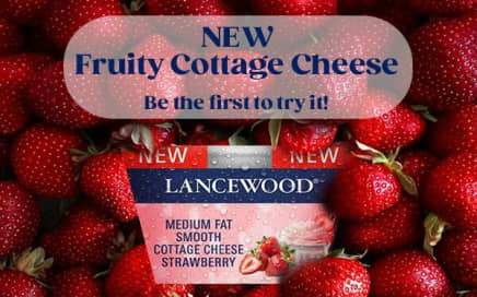 LANCEWOOD® award-winning cream cheese, cottage cheese and cheddar displayed on a shared grazing table, enjoyed by friends - celebrating products awarded by experts and loved by South Africans.