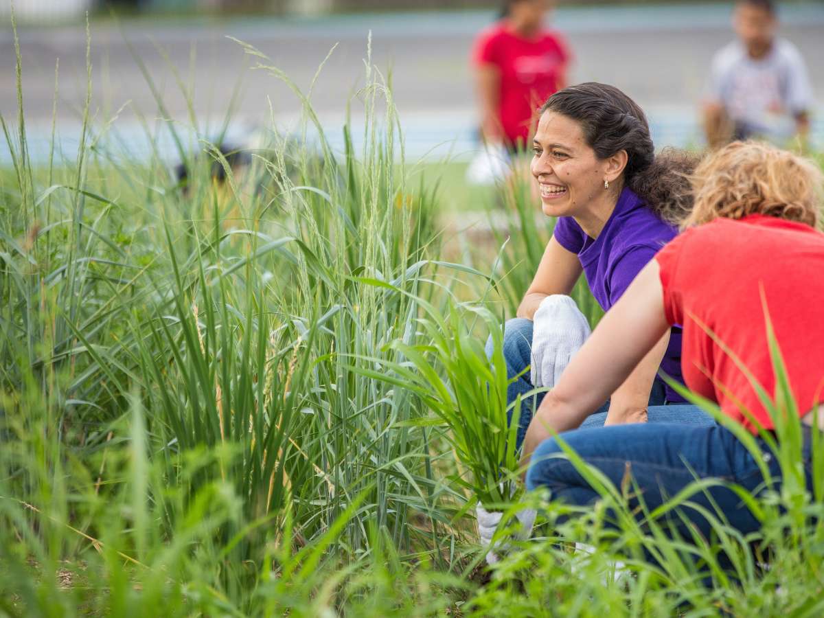 What we do Land Trust Alliance