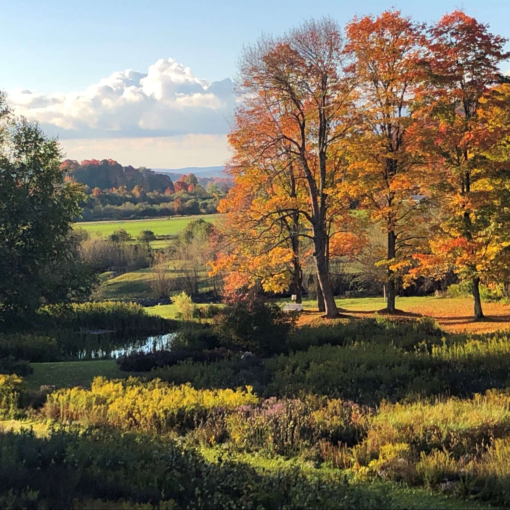 New York State Conservation Partnership Program Land Trust Alliance