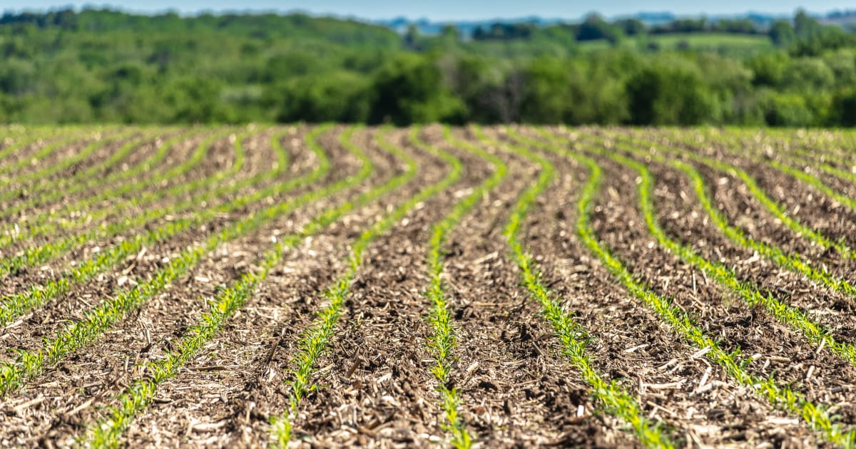 NRCS and BuyProtectSell Land Trust Alliance