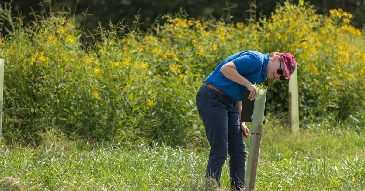 Volunteer opportunities for conservation Land Trust Alliance