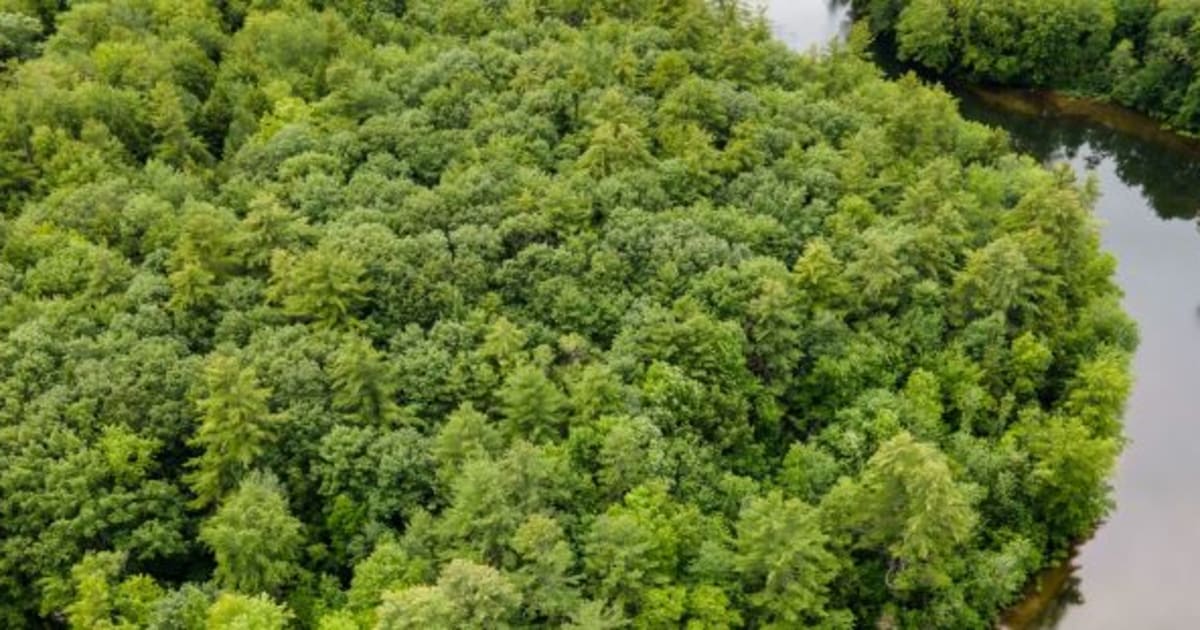 Presumpscot Regional Land Trust Land Trust Alliance