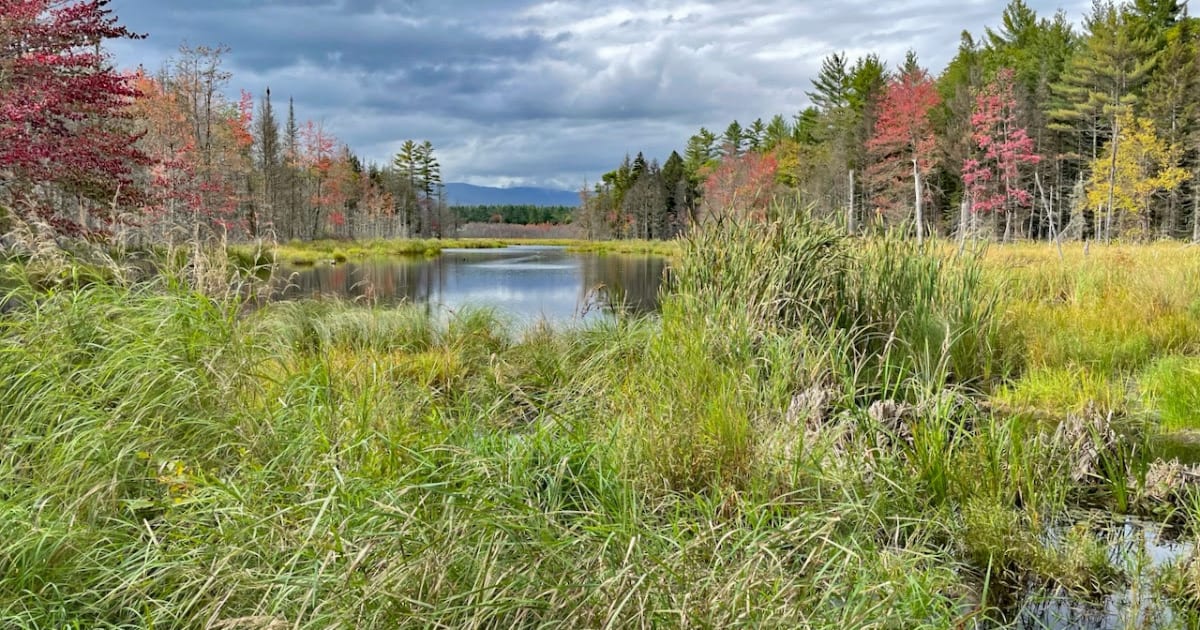 Greater Lovell Land Trust Land Trust Alliance