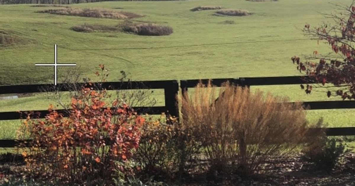 Land Trust of the Eastern Panhandle Land Trust Alliance