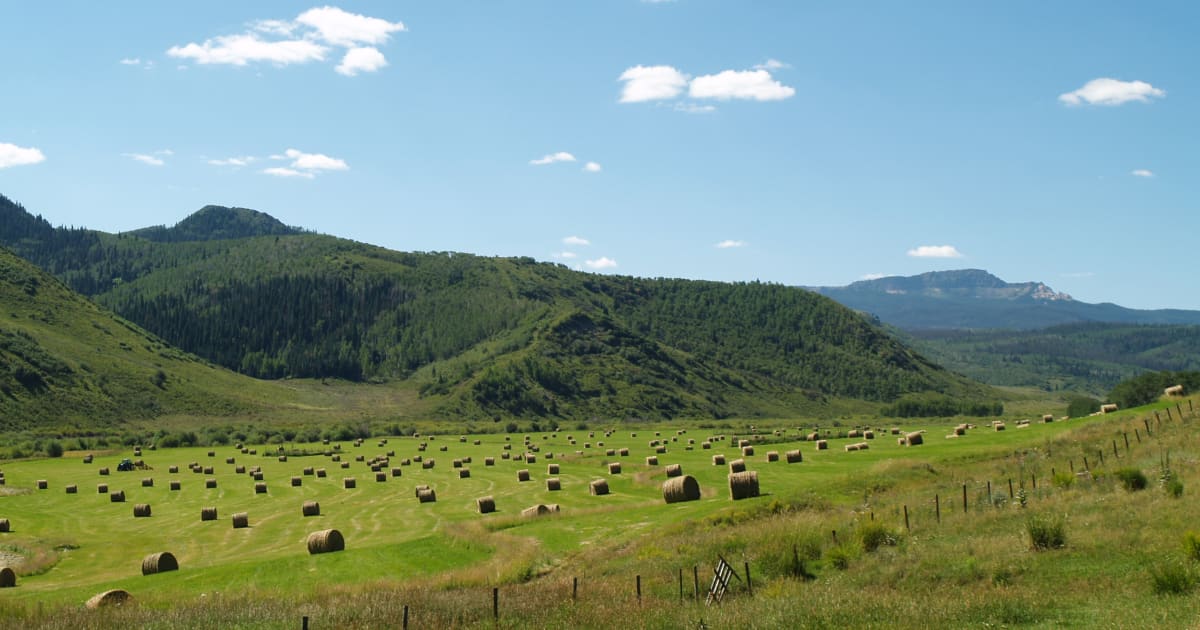 Colorado Cattlemen's Agricultural Land Trust Land Trust Alliance