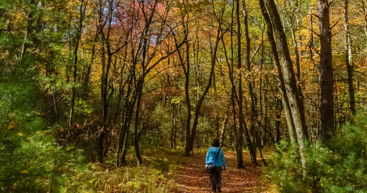 Sudbury Valley Trustees Land Trust Alliance