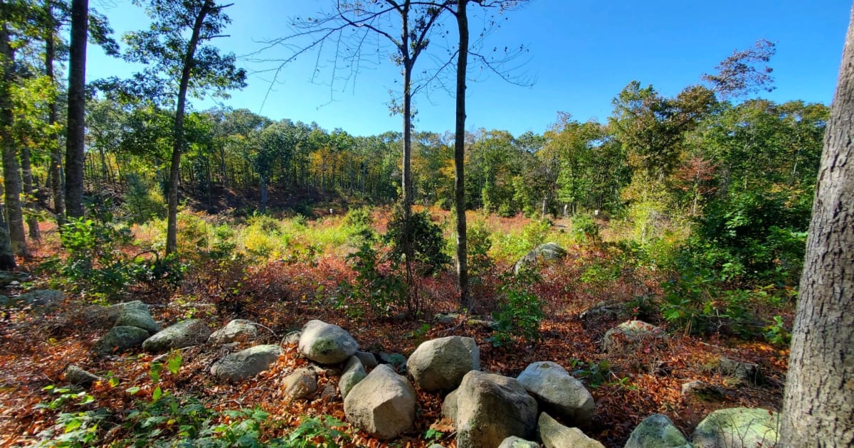 The Westerly Land Trust Land Trust Alliance