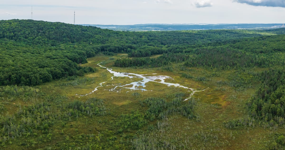 River Land Trust Land Trust Alliance