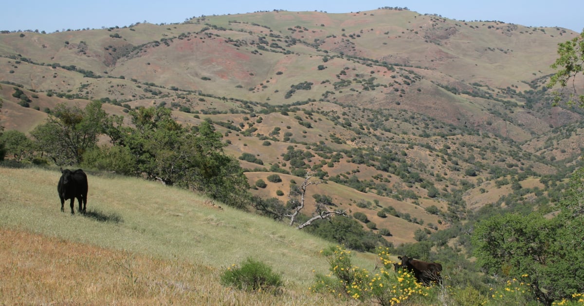 San Benito Agricultural Land Trust Land Trust Alliance